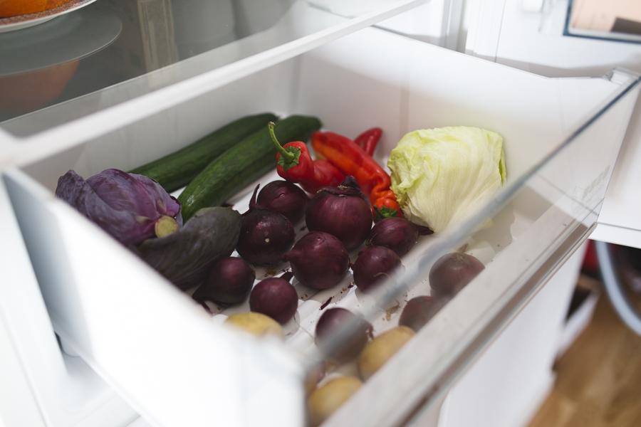 Florine Hofmann's Zero Waste Kichen Fridge